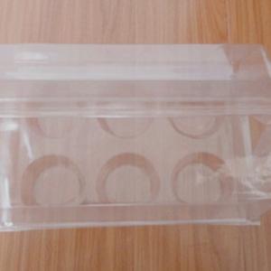 China PE Bag and Carton Packaging for Variable Flower Plant Plastic Clamshell Container on sale