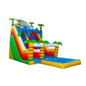 Quality Aldult Outdoor Rental Inflatable Large Water Slides With Bouncy for sale