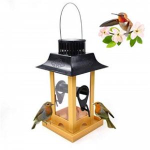 Quality Solar Parrot Feeder LED Light Bird Feeder Station Hanging Pigeon Crow Parrot Outdoor Balcony Bird Feeding for sale