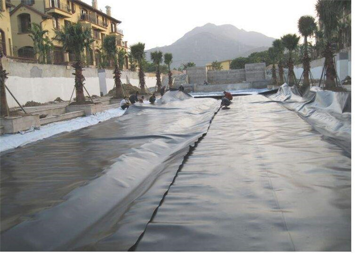 1mm Soudure 2mm Polyethylene Geomembrane Hdpe For Fish Farm