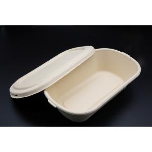 Quality Bento Biodegradable Disposable Dinnerware Salad Compostable Takeaway Container for sale