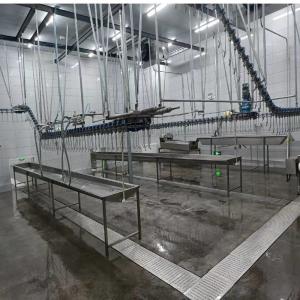 380V Poultry Butcher Machine Spiral Chicken Chiller Machine Customized