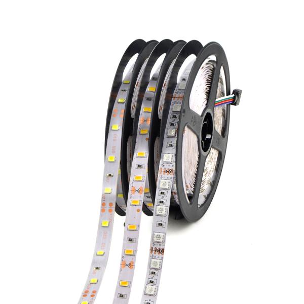 12w 12v 24v 10mm 60 Leds Rgb 5050 Smd Flexible Led Strip Light with and Multi Colors