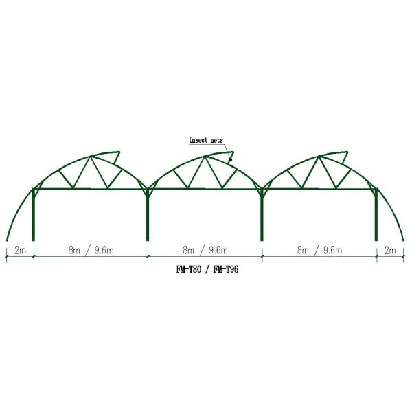 Plastic Film Greenhouses 5.jpg
