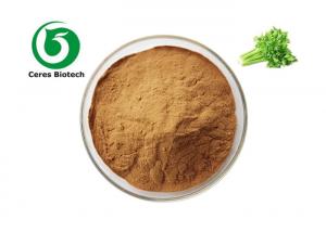 China 100% Pure Natural Celery Apium Root Extract Powder on sale