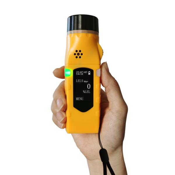 ABS Portable Single Gas Detector For CO Carbon Monoxide / H2S Hydrogen Sulfide Gas