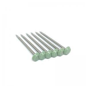 Quality 65mm Length Polished Plastic Headed Nails With Shark Point for sale