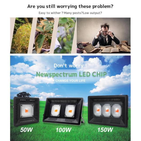 Full Spectrum Light Bar Module 150W IP65 Waterproof LED Grow Light