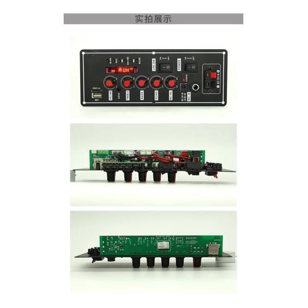 Wireless Wired Microphone Trolley Speaker with FM Radio and Bt Decoder Amplifier Board