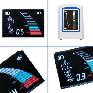 Custom LCD Display Module 8 Digit 7 Segment Display with Black Background LCD