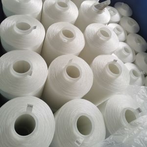 Quality Chemical Resistant Polyester Continuous Filament Sewing Thread 100D/3 for sale