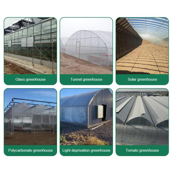 Multi-span Agricultural Glass Greenhouse with Film Covering Width 8m or Customizable