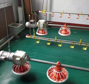 Quality Breeder / Broiler Poultry Farming Machine 14 16 Compartments for sale