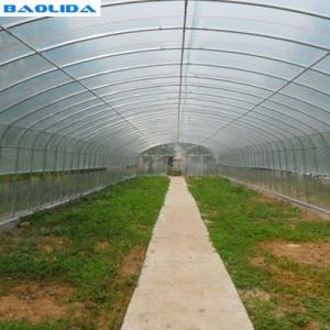 China Anti UV Hot Dipped Galvanized Steel Frame Poly Film Greenhouse on sale