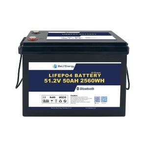 Quality Cost Effective Longevity 51.2V 50Ah Lifepo4 Battery 3000 Cycles For Storage System for sale