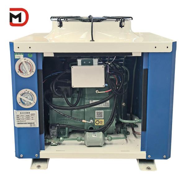Air-cooled Condensing Unit For Industry Refrigeration Walk In Freezer Cold Storage Room