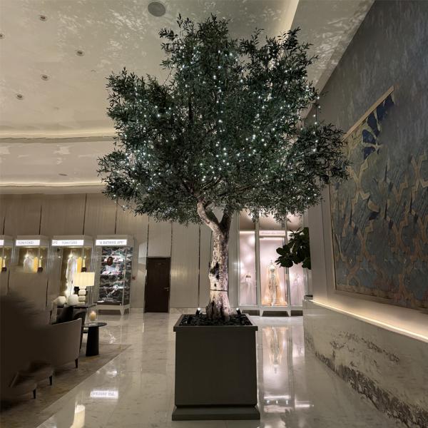 Factory Price Large Artificial Olive Tree, a Large Ornamental Fiberglass Tree for Indoor Restaurants and Shopping Malls
