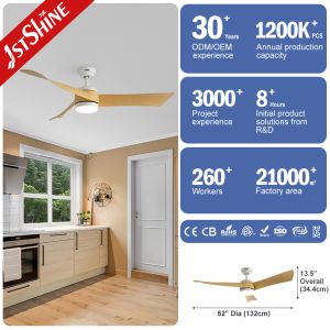 Customized ABS Blades LED Ceiling Fan with WiFi Tuya Control and Lighting