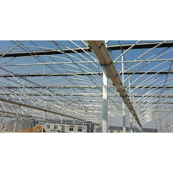 Large Hot Galvanized Steel Structure Gutter Connected Greenhouse with Height 3.0-4.8m