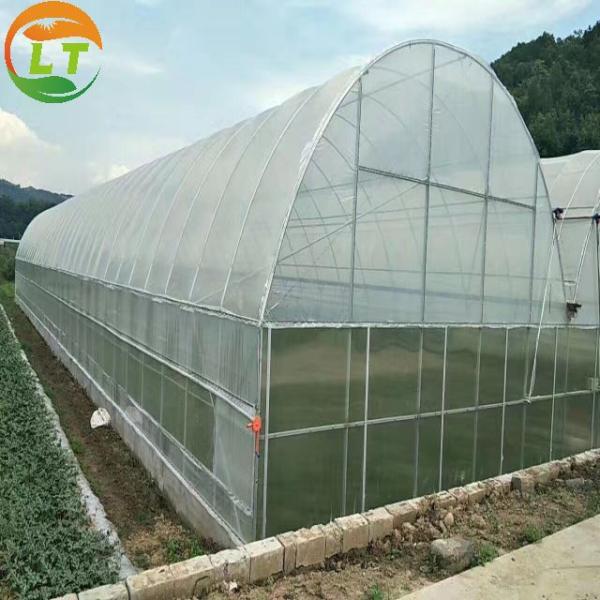 Galvanized Skeleton Cover Film for Agricultural Product in Shouguang Easy to Install