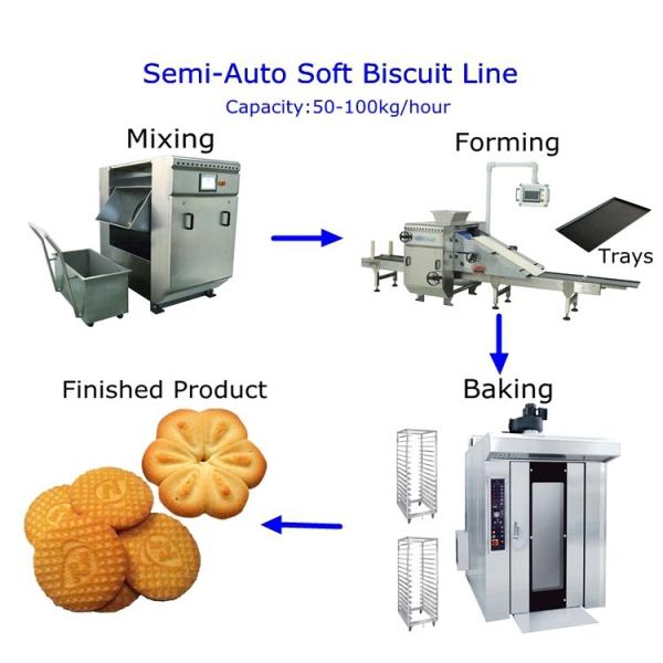 Factory Multifunctional Soft Biscuit Forming Machine Rotary Moulder