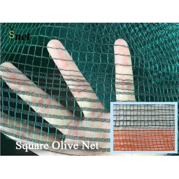 Hexagon Olive Harvest Net 30gsm - 200gsm Mulberry Harvesting Net