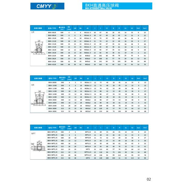 EXW Thread Straight Hydraulic Ball Valve High Pressure Cut-Off Valves