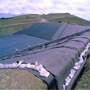 Isolation Function HDPE Geomembrane Liner for Fish Farming 1mm 1.5mm Thickness