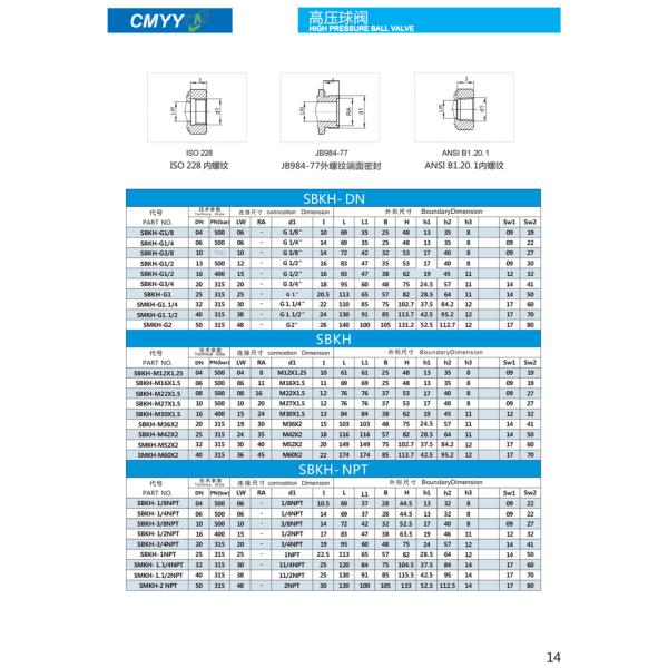 EXW Thread Straight Hydraulic Ball Valve High Pressure Cut-Off Valves