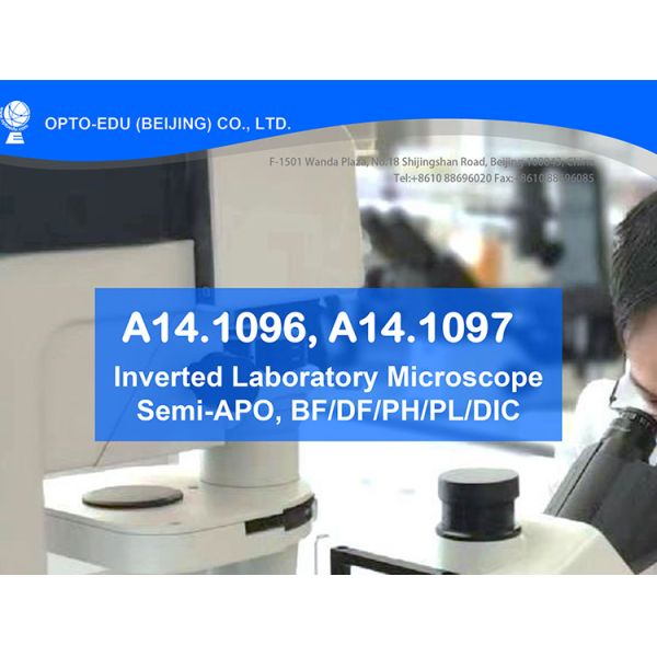 OPTO EDU A14.1096 Laboratory 22mm Inverted Fluorescence Microscope