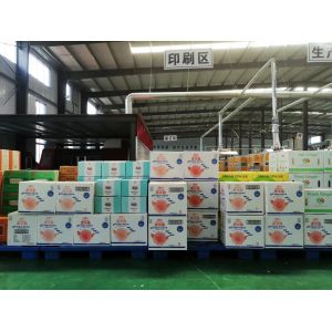Quality Corrugated Paper Packing Box From Stone Paper for sale