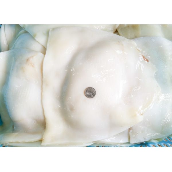 Equator suqid fillet, frozen giant squid fillet 1000g 2000g Size