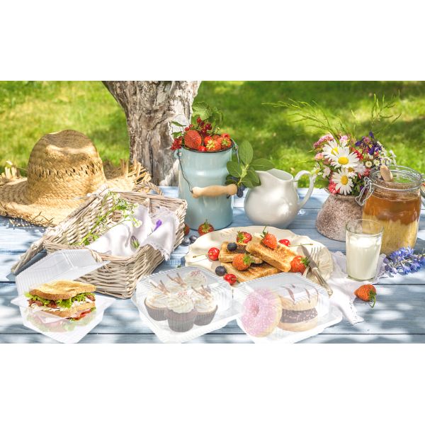 Square Hinged Food Cake Slice Container