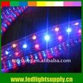 led ropes flexbile strips led christmas light bulbs supplier
