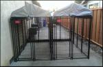Powder Coating Welded Metal Dog Kennels For Large Dogs Black Color Easy Install