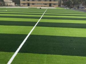 Quality Evergreen Artificial Sports Synthetic Grass And Landscapes PE Plastic for sale