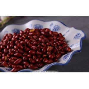 Peanut Frying Machine Automatic French Fry Machine Auto Fry Machine