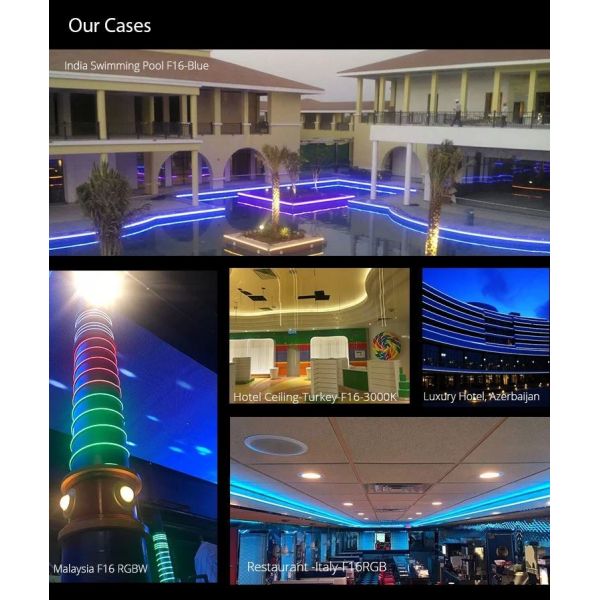 Three Side Emitting Flexible PVC LED Neon Strip Light 9 Flexible PVC Or Silicone LED Neon Strip Light PWM DMX512 Control 17W IP68 for Underwater Lighting