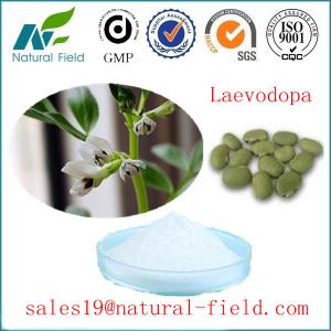 China GMP factory mucuna pruriens extract 98% l-dopa CAS:59-92-7 with competitive price and best service on sale