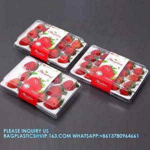Wholesale Transparent Fresh Strawberry Packaging Container Supermarket Food