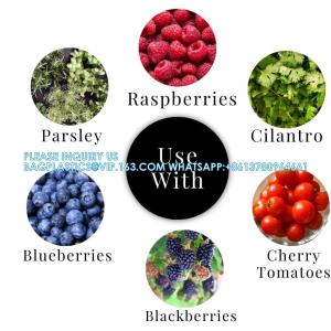 Wholesale Transparent Fresh Strawberry Packaging Container Supermarket Food