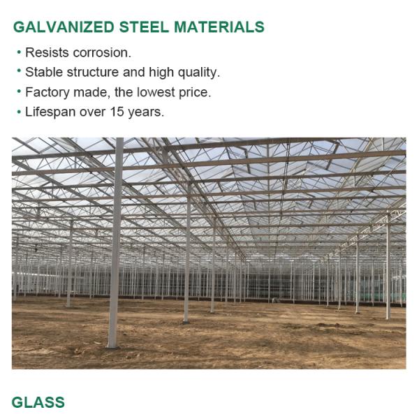 Glass for Outdoors Greenhouses Large Size and Hydroponic Nursery Sponge Advantage