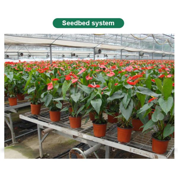 Greenhouse Grow Tent for Single-Span Agricultural Greenhouses and Indoor Growing