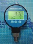 Water Proof Digital Pressure Gauge with battery powered PM-3000