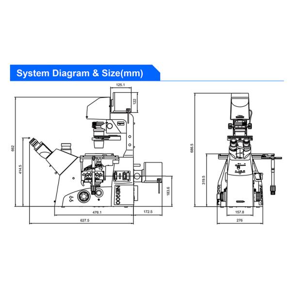 OPTO EDU A14.1096 Laboratory 22mm Inverted Fluorescence Microscope