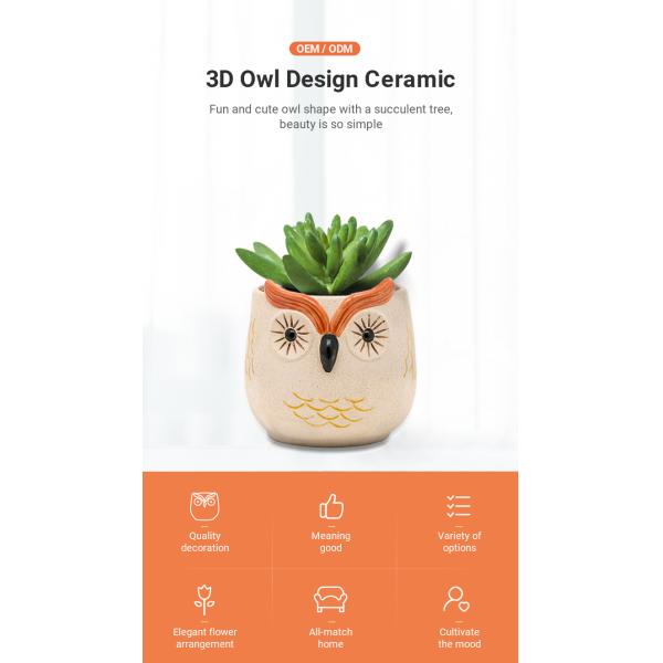 24 Inch 6 Inch 16 Inch Ceramic Flower Pots 3D Unique Owl Lovely Flower Succulent Pots Mode