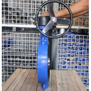 JIS 5K 10K cast iron butterfly valve