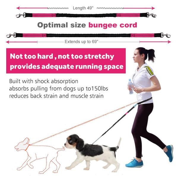 Flexible Long Extendable Dog Lead Comfortable Hands Free With Dual Handles