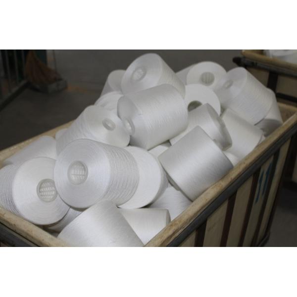 20s/2 30s/2 40s/2 100% Polyester Ring Spun Yarn Polyester Yarn from China Manufacturers