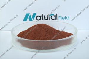 Quality ISO &amp; BV China manufacturer of pygeum africanum bark extract for sale